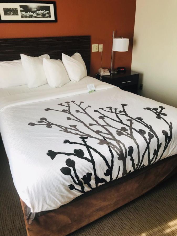 Sleep Inn North Charleston Ashley Phosphate Екстер'єр фото